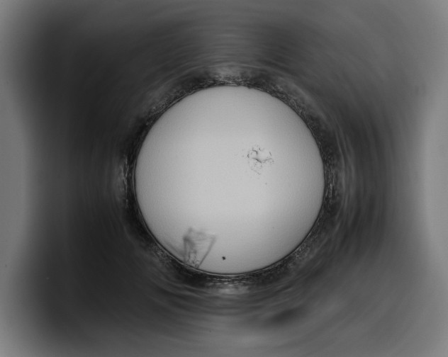 X0000099980702200806131359