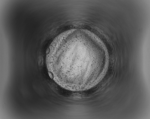 X0000099980703200806131359