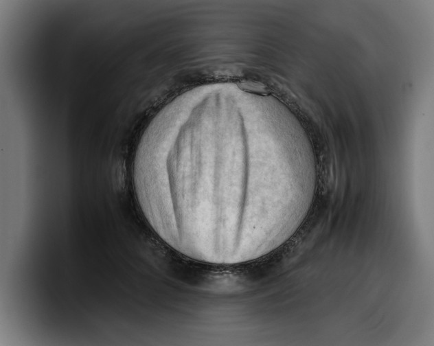 X0000099980704200806131359