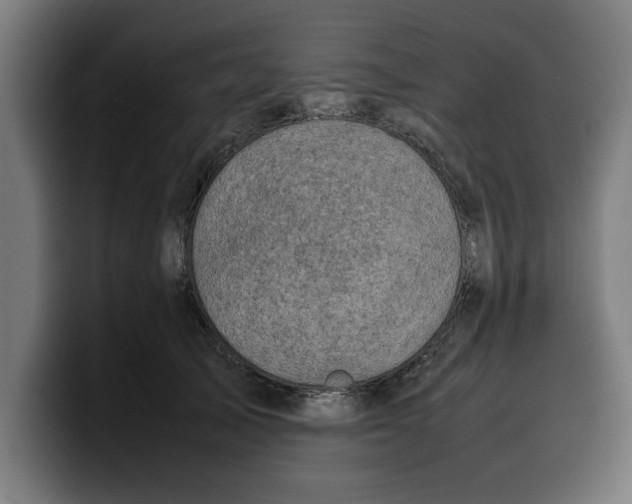 X0000099980705200806131359