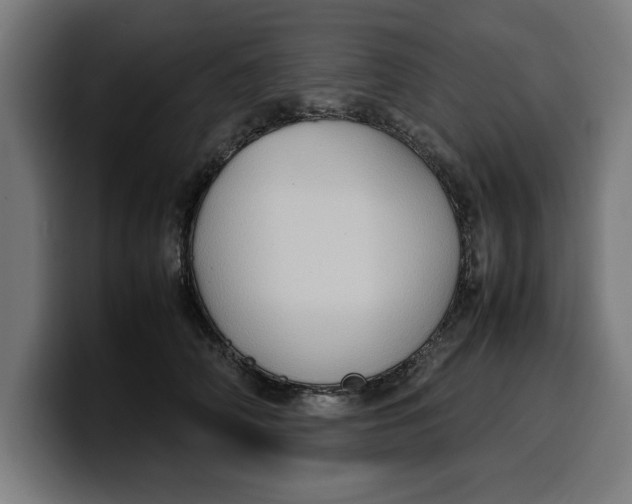 X0000099980706200806131359