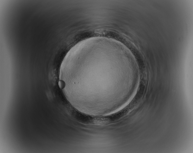 X0000099980707200806131359