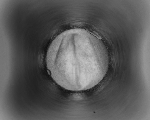 X0000099980708200806131359