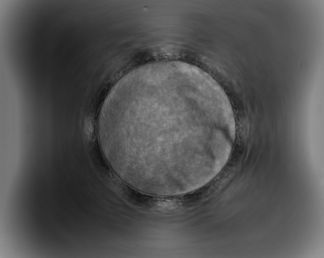 X0000099980709200806131359