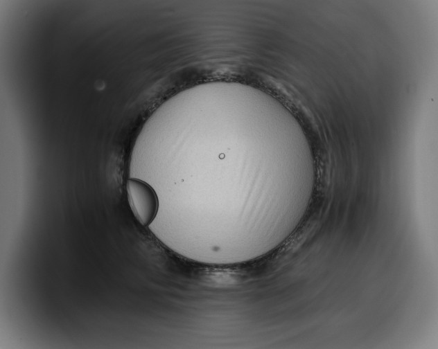 X0000099980710200806131359