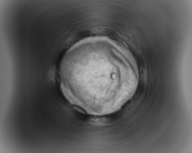 X0000099980712200806131359