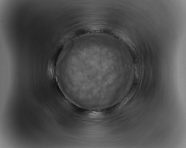 X0000099980718200806131359