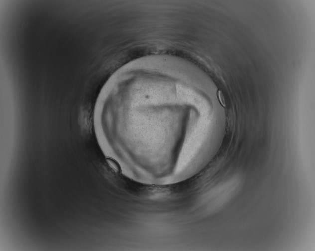 X0000099980719200806131359