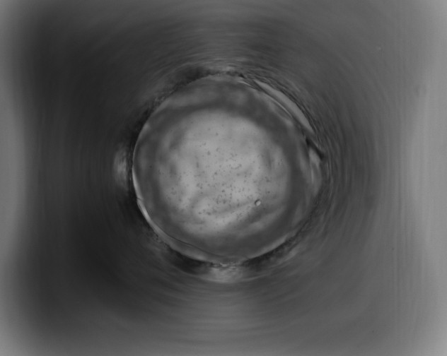 X0000099980720200806131359