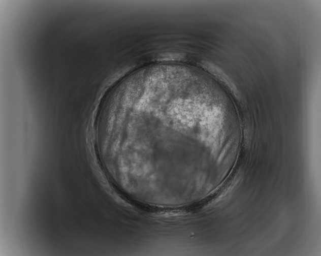 X0000099980721200806131358