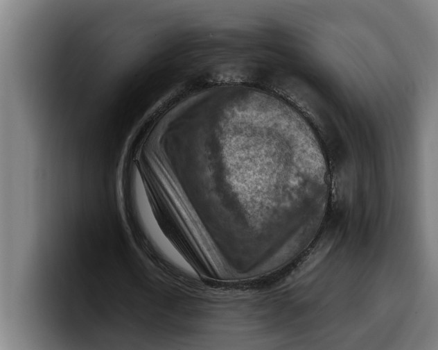 X0000099980722200806131358