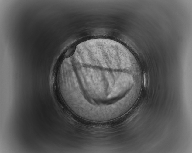 X0000099980723200806131358