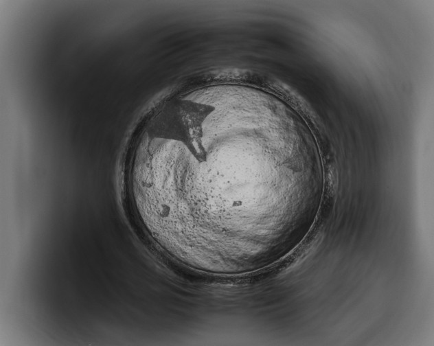 X0000099980725200806131358