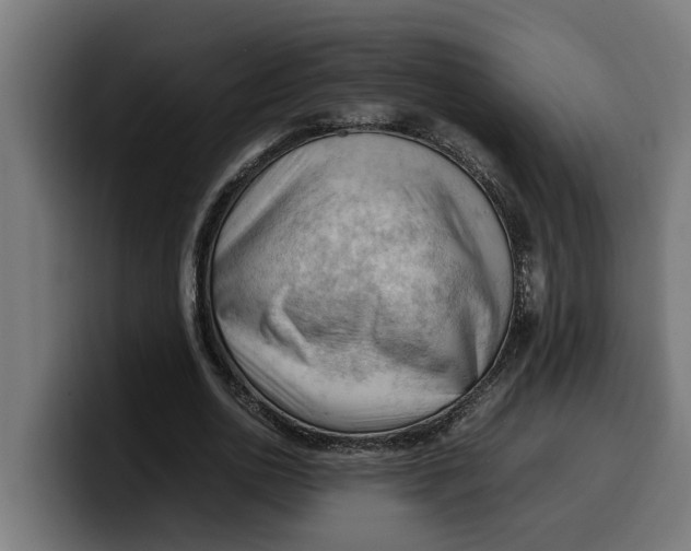 X0000099980726200806131358