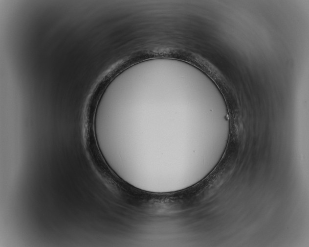 X0000099980728200806131358