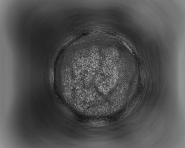 X0000099980729200806131358