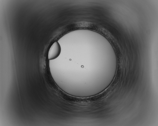 X0000099980731200806131358