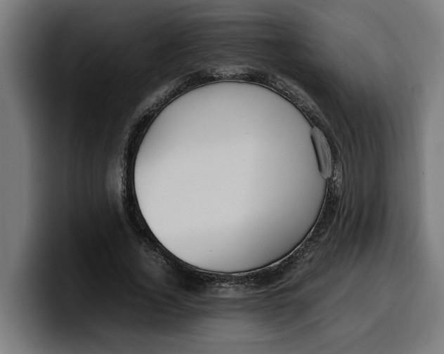 X0000099980732200806131358