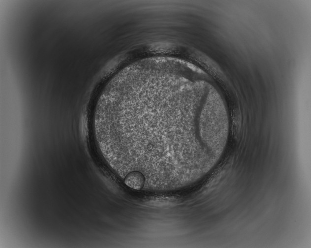 X0000099980734200806131358