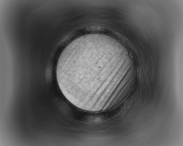 X0000099980735200806131358