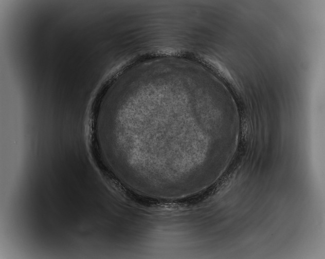 X0000099980736200806131358