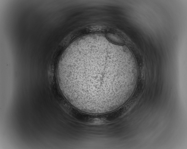 X0000099980737200806131358