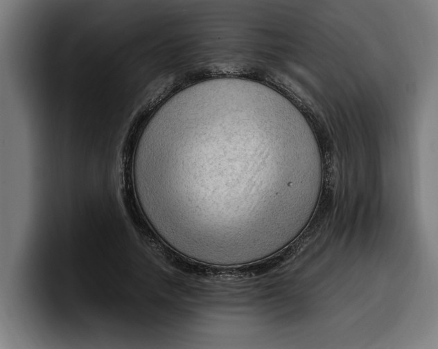 X0000099980738200806131358