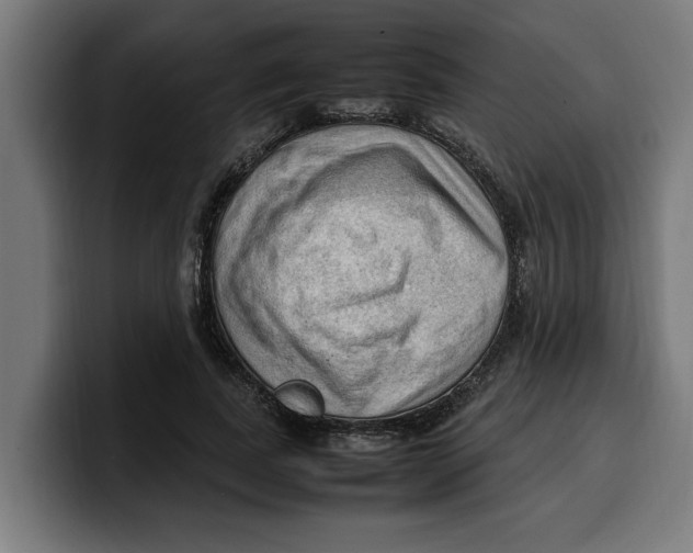 X0000099980739200806131358