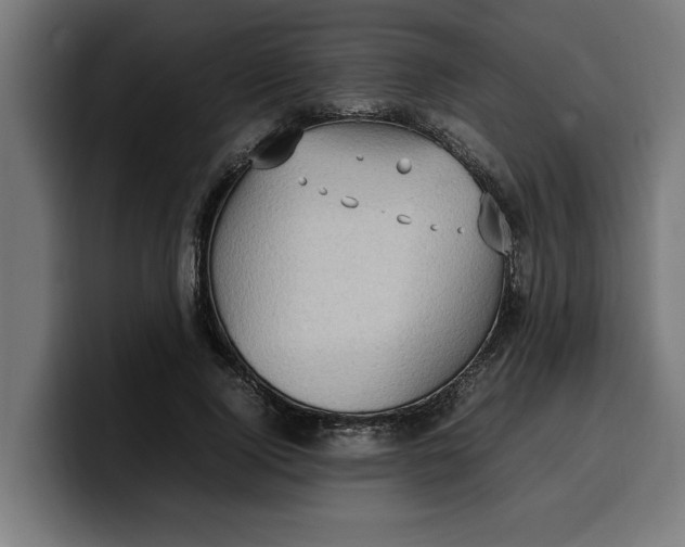 X0000099980740200806131358