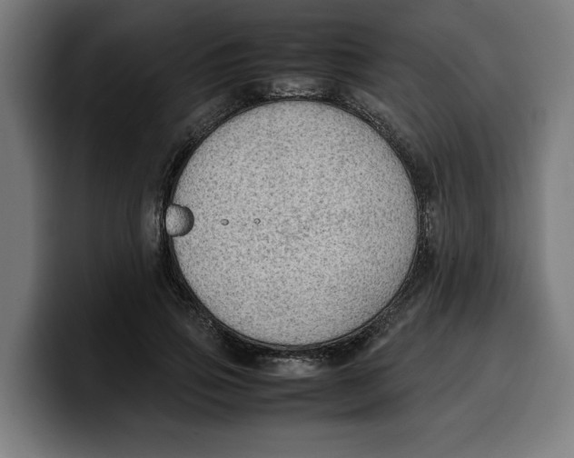 X0000099980741200806131358