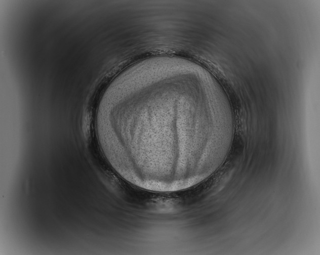 X0000099980742200806131359