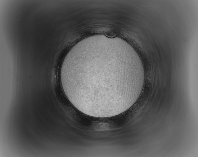 X0000099980743200806131359