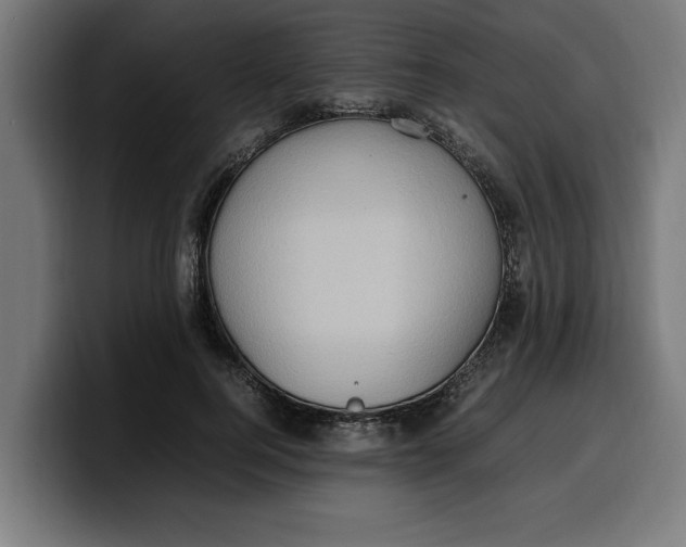 X0000099980744200806131359