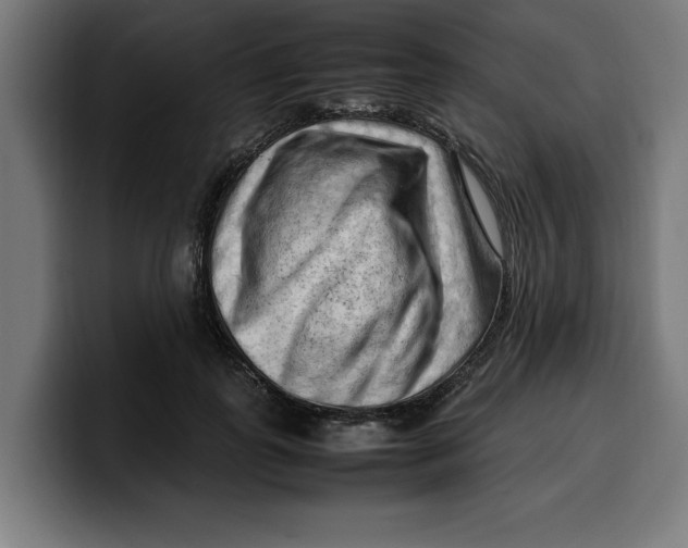 X0000099980747200806131359