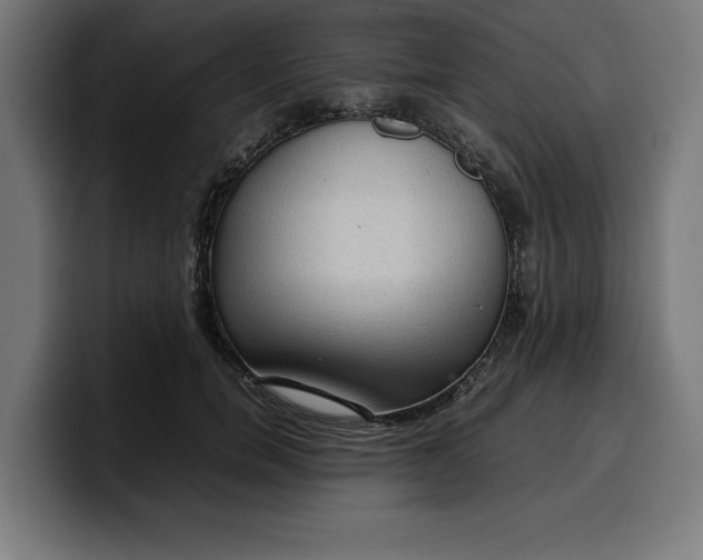 X0000099980750200806131359