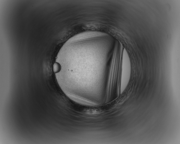 X0000099980751200806131359