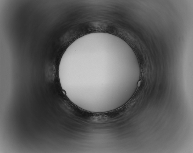 X0000099980752200806131359