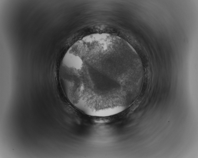 X0000099980754200806131359