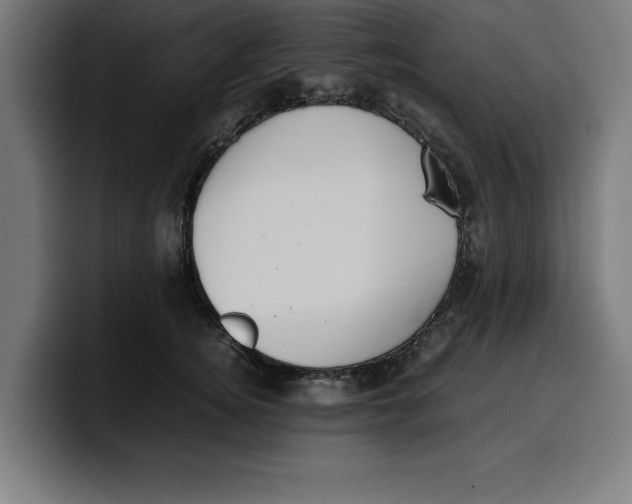 X0000099980756200806131359