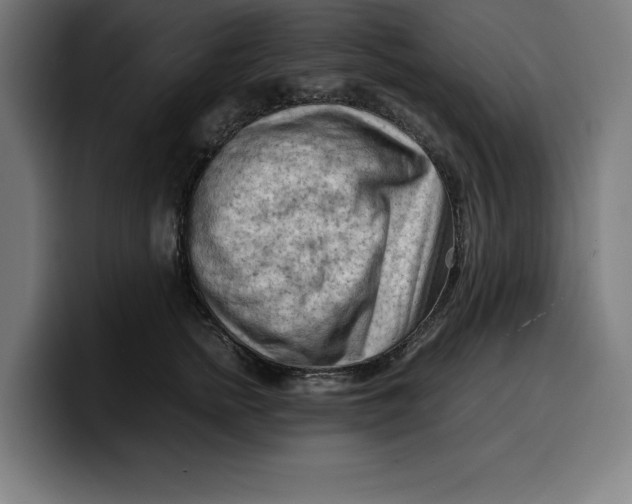 X0000099980758200806131359