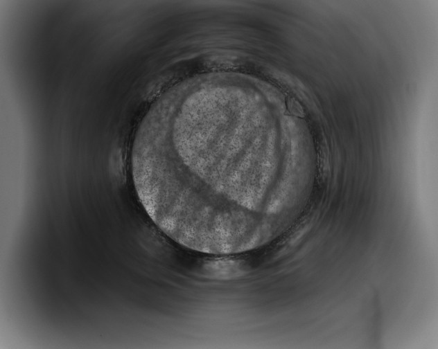 X0000099980759200806131359