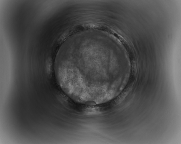 X0000099980760200806131359