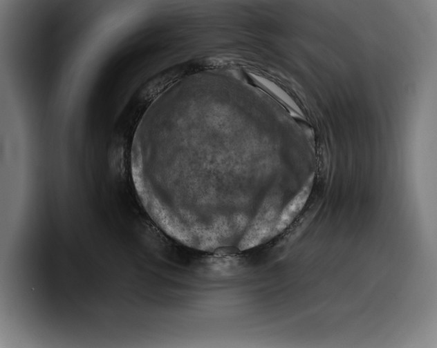 X0000099980762200806131359