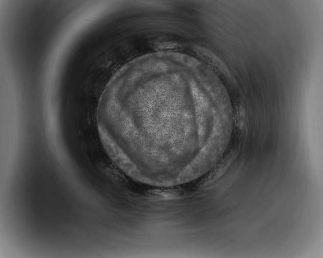 X0000099980763200806131359