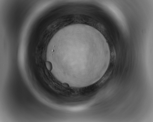 X0000099980765200806131359