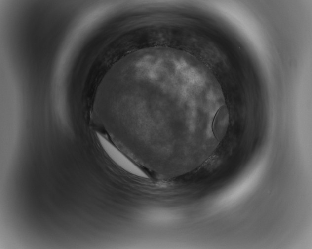 X0000099980766200806131359