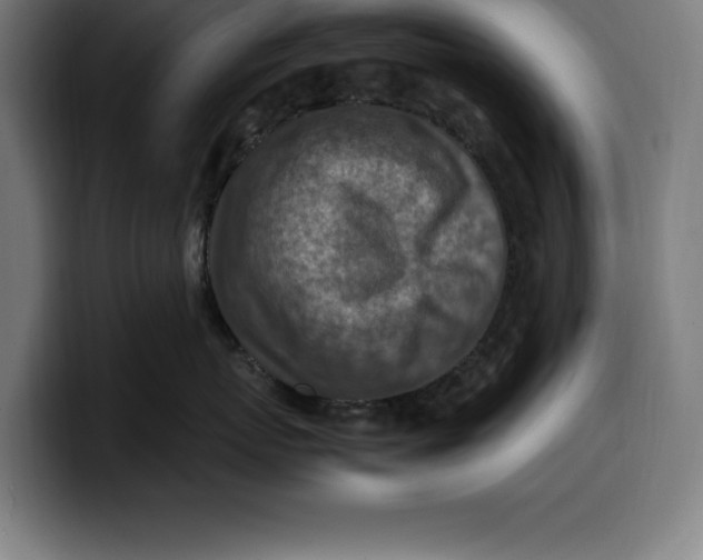 X0000099980767200806131359