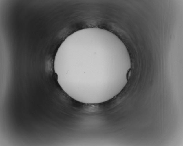 X0000099980768200806131359