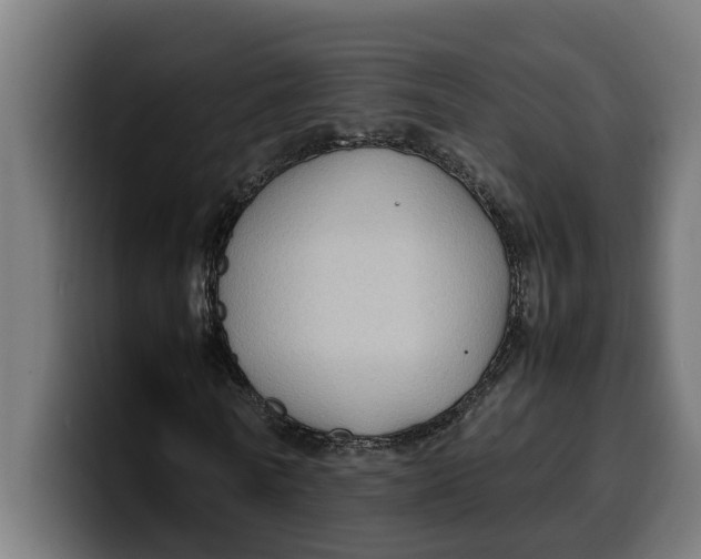 X0000099980770200806131358