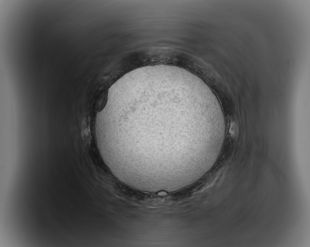 X0000099980771200806131358